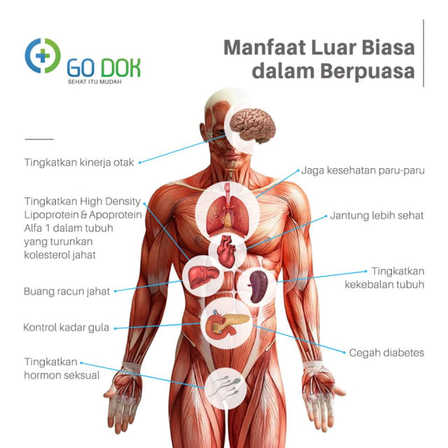 6 Manfaat Puasa untuk Kesehatan (1)