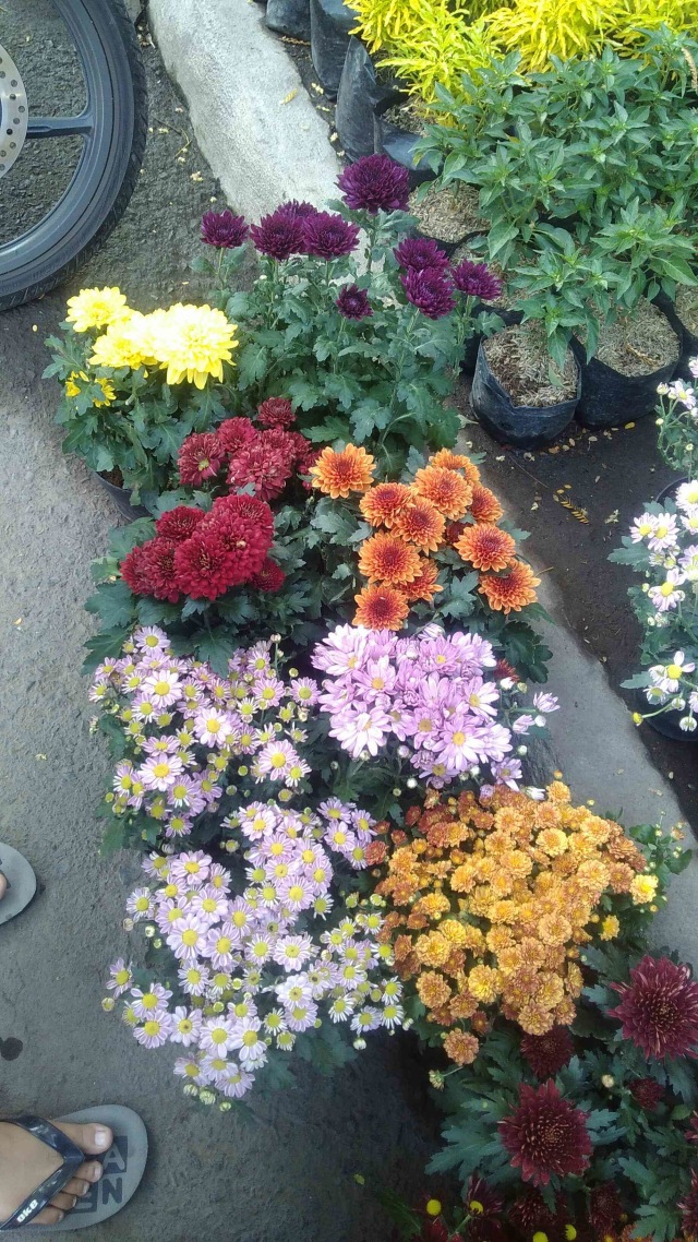 lebaran sebentar lagi