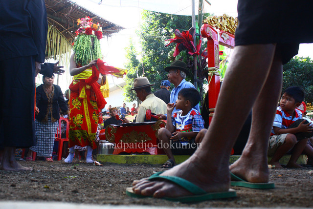 Menari Bersama Roh Suci Penjaga Desa di Banyuwangi