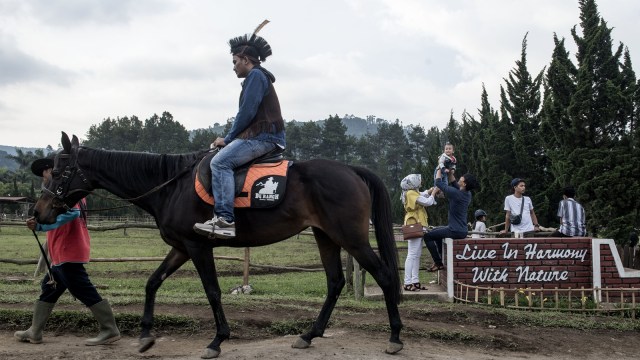 De' Ranch, Lembang (Foto: Antara/M Agung Rajasa)