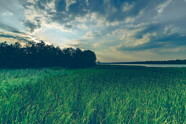Ilustrasi hamparan alam (Foto: Pixabay)