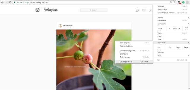 Pilih 'Developer Tools' (Foto: Deanda Dewindaru/kumparan)