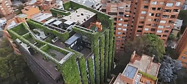 Taman Vertikal di Bogota. (Foto: Youtube)