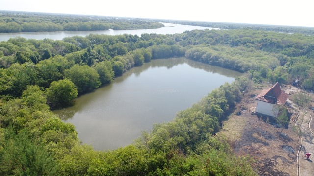 Tambak ikan di Pulau Lusi dari atas (Foto: Dok. Dirjen PRL KKP)