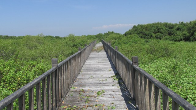 Tracking di Pulau Lusi (Foto: Dok. Dirjen PRL KKP)
