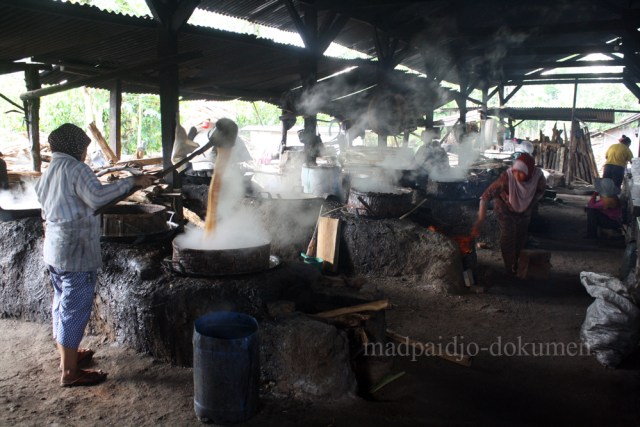 Nira Kelapa Penyambung Nyawa (1)