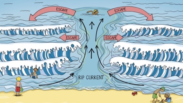 Ilustrasi RIP Current (Foto: nsri.org.za)