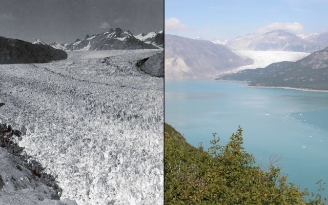 Glatser Muir di Alaska 1941-2004 (Foto: Dok. Nasa)