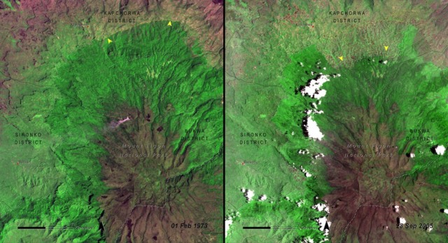 Gunung Elgon di Taman Nasional Uganda  1973-2005 (Foto: Dok. Nasa)
