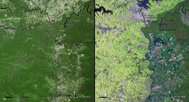 Hutan Atlantik Amerika Selatan, Paraguay 1973-2008 (Foto: Dok. Nasa)