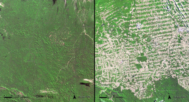 Rondonia 1975 - 2009 (Foto: Dok. Nasa)