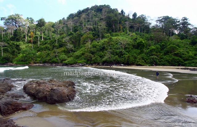 Pantai Rajegwesi: Cantik Tapi Tak Dilirik (3)