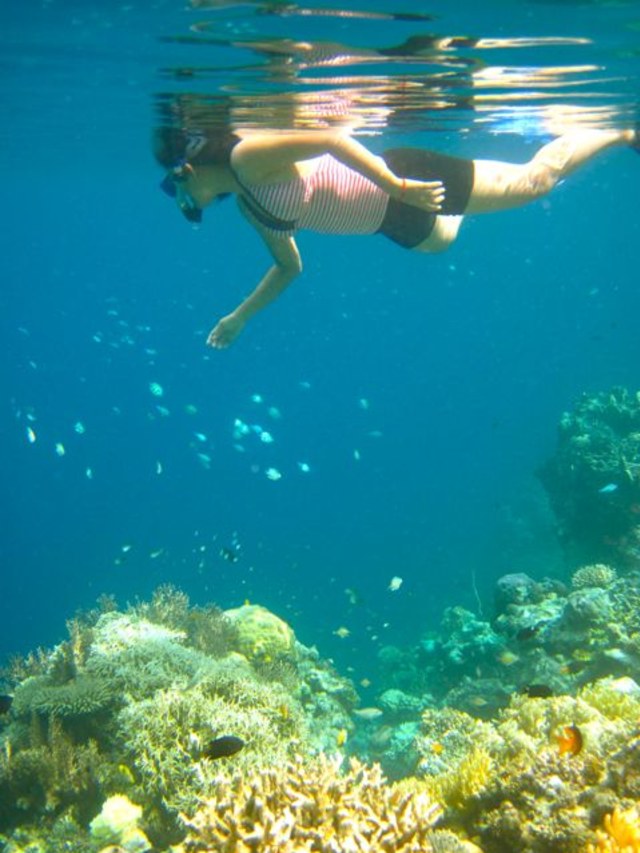 Wah! Menawannya 7 Wisata di Togean yang Membuat Kamu Ngga Karuan (6)