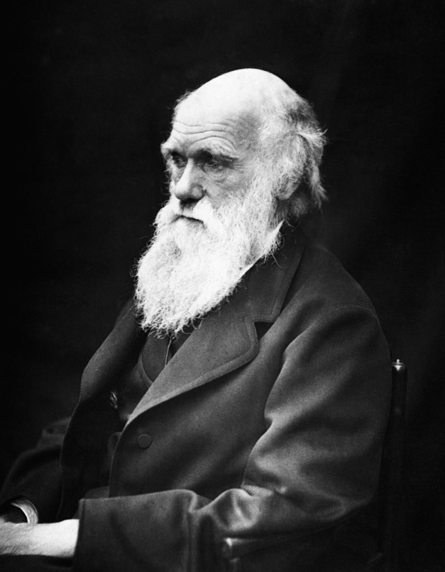 Charles Darwin  (Foto: Pixabay)