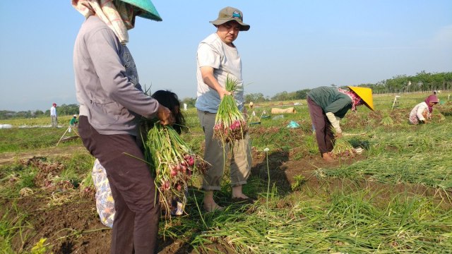 Kembali Ke Asal, Sudirman Said Si “Anak Bawang”