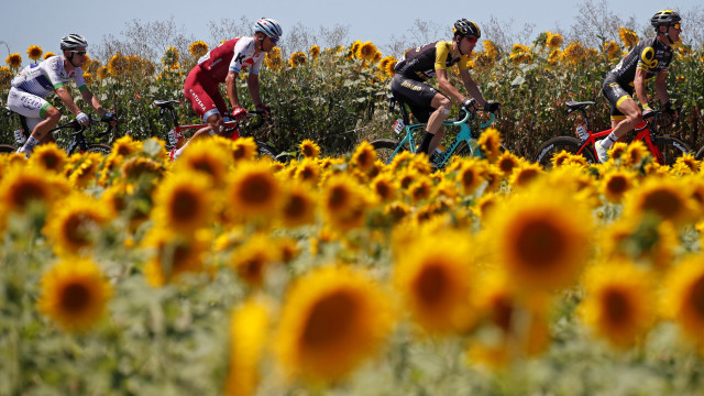 Membalap di antara bunga-bunga. (Foto: Reuters/Christian Hartmann)