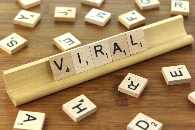 Ilustrasi Viral Foto: Pixabay