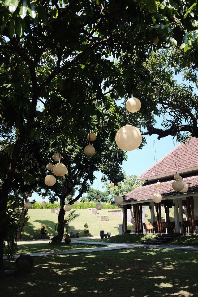 Mengintip Ruang Bawah Tanah 'Bukit Teletubbies' di Kawasan Pendopo Banyuwangi