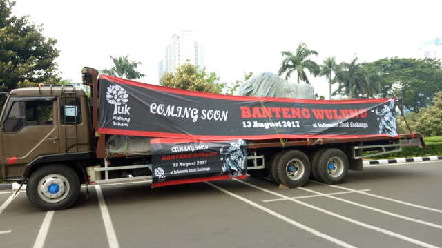 Banteng Wulung  (Foto: Ela Nurlaela/kumparan)