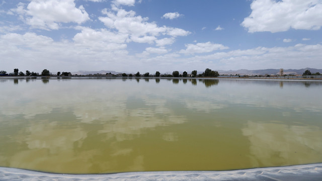 Serangan penyakit kolera Foto: Reuters/Khaled Abdullah