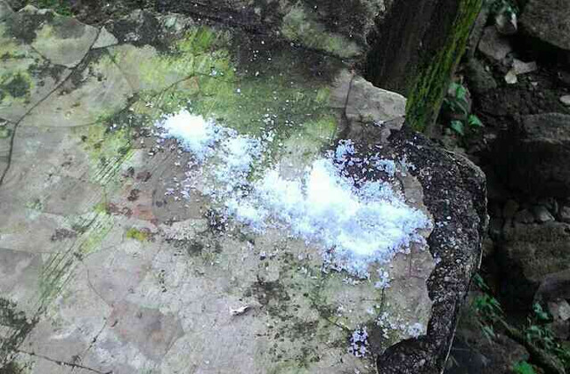 Teror Garam di Rumah Wartawan