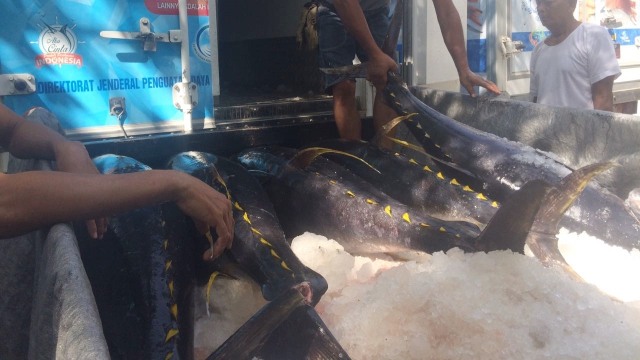 Tangkapan Ikan Tuna Nelayan Desa Dagho di Sulut (Foto: Istimewa)