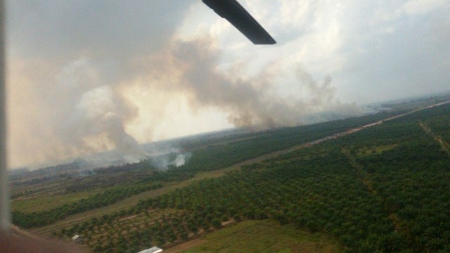 Kebakaran lahan di Sumatra Selatan. (Foto: BNPB)