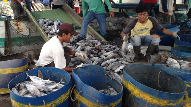 Cinta Laut Indonesia? Lakukan Ini Agar Laut Indonesia Tetap Lestari! (1)