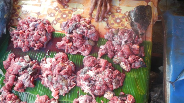 Cinta Laut Indonesia? Lakukan Ini Agar Laut Indonesia Tetap Lestari! (5)