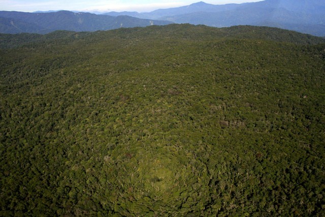 Mari Selamatkan Leuser! (1)