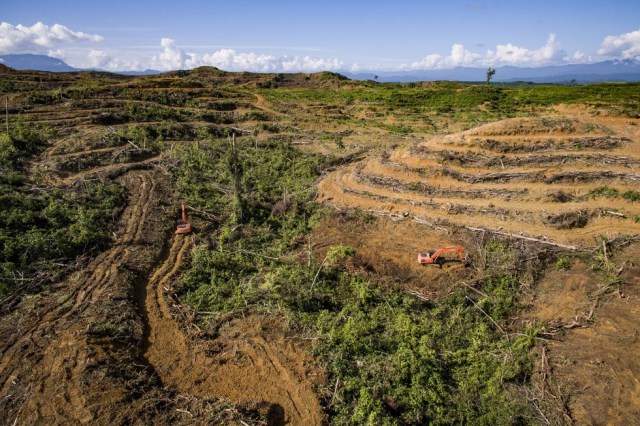 Mari Selamatkan Leuser! (5)