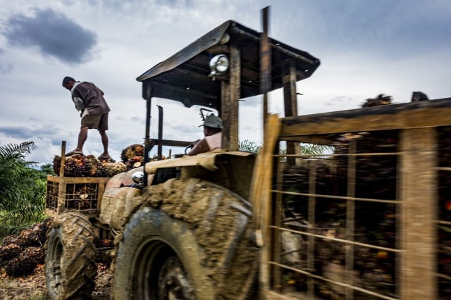 Mari Selamatkan Leuser! (8)