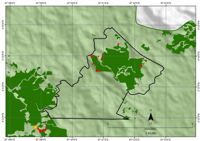 Mari Selamatkan Leuser! (12)