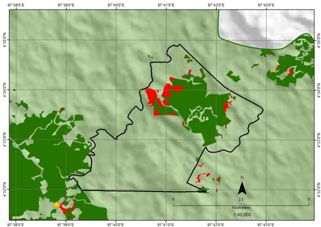 Mari Selamatkan Leuser! (13)