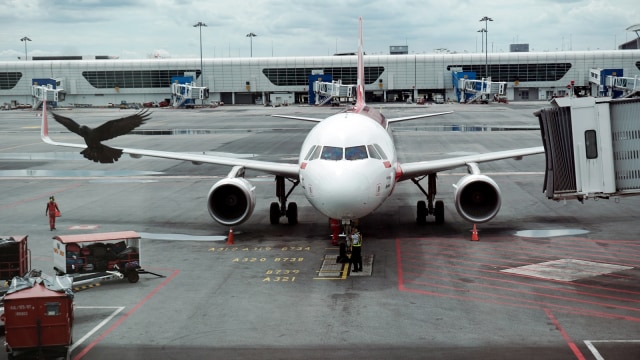 Pesawat AirAsia (Foto: Aditia Noviansyah/kumparan)