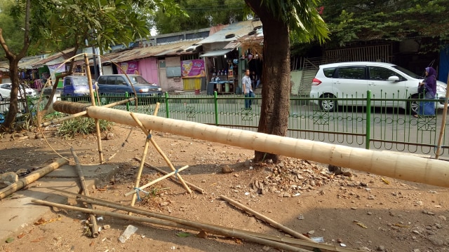 Penjualan pohon pinang di Manggarai (Foto: Iqra Ardini/kumparan)