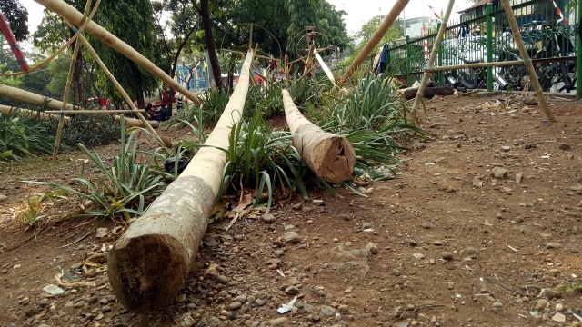 Penjualan pohon pinang di Manggarai (Foto: Iqra Ardini/kumparan)