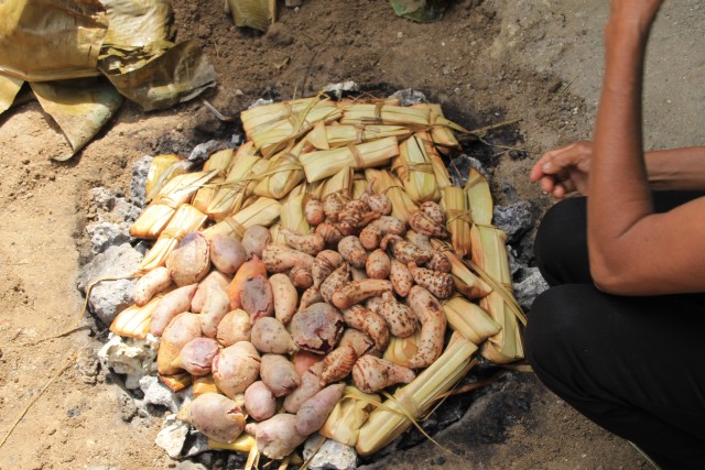 Bakar Batu khas Desa Tumbur, Tanimbar Selatan (1)