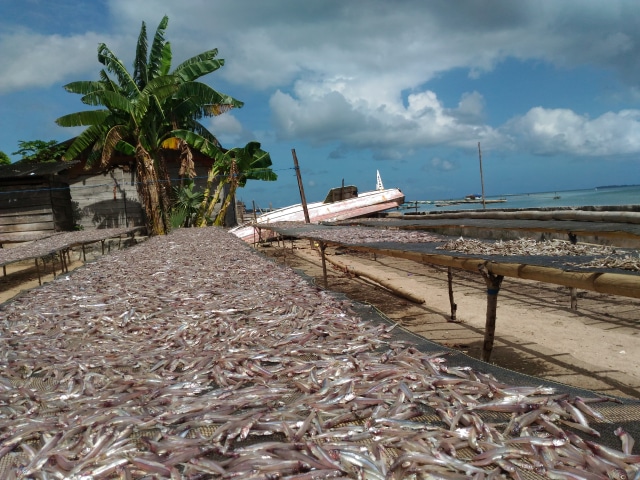 Menikmati Jaringan Telkomsel di Pulau Seira, Pulau Eksotis di Saumlaki (2)