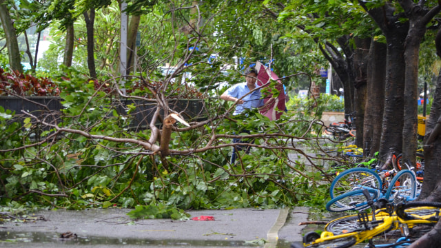 Akibat Topan Hato (Foto: Stringer/Reuters)