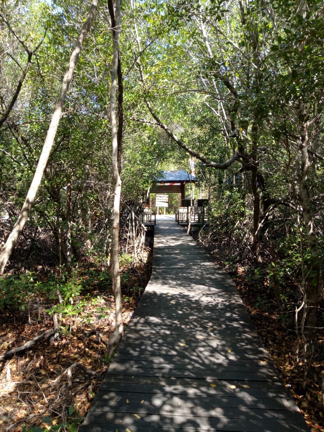 3 Hal yang Harus Kamu Lakukan pada Hari Pertama di Karimun Jawa (1)