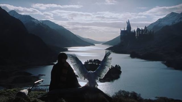 Harry Potter dan Hedwig (Foto: Facebook/Harry Potter)