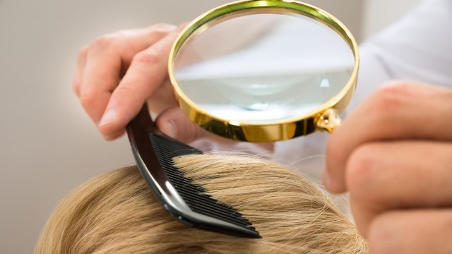 Ilustrasi mencari kutu rambut (Foto: Thinkstock)