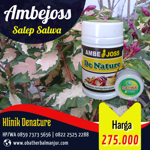 obat wasir ramuan tradisional