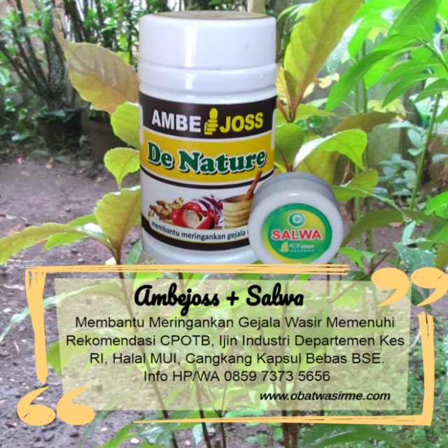 obat wasir cara tradisional
