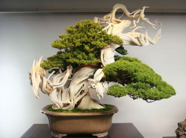 7 Peluang Usaha Agribisnis dengan Peluang Sukses Besar (6)