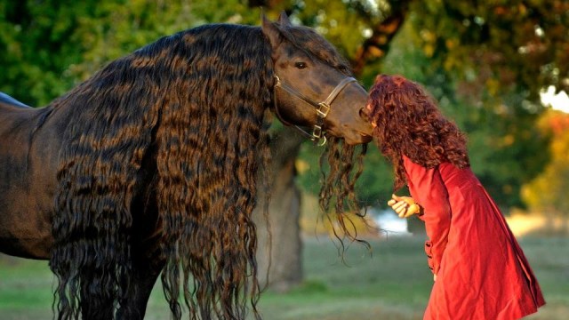 Frederick bersama sang pemilik Stacey Nazario. (Foto: Facebook/frederikthegreatfriesianstallion)