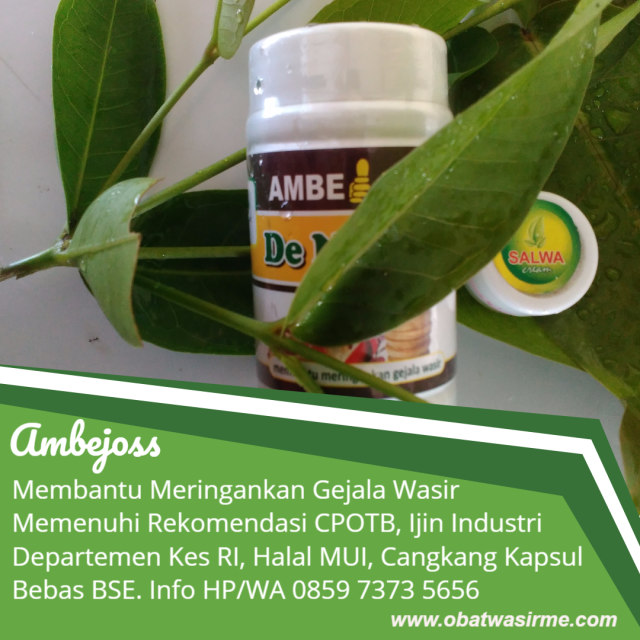 obat wasir rekomendasi dokter