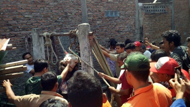 Hewan kurban masuk ke sumur di Pasar Pedurungan. (Foto: Dok. Kantor SAR Semarang)