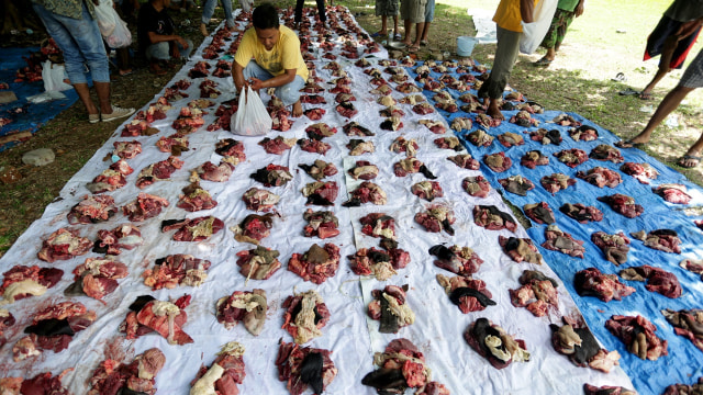 Penyembelihan hewan kurban. Foto: ANTARA/Agung Rajasa